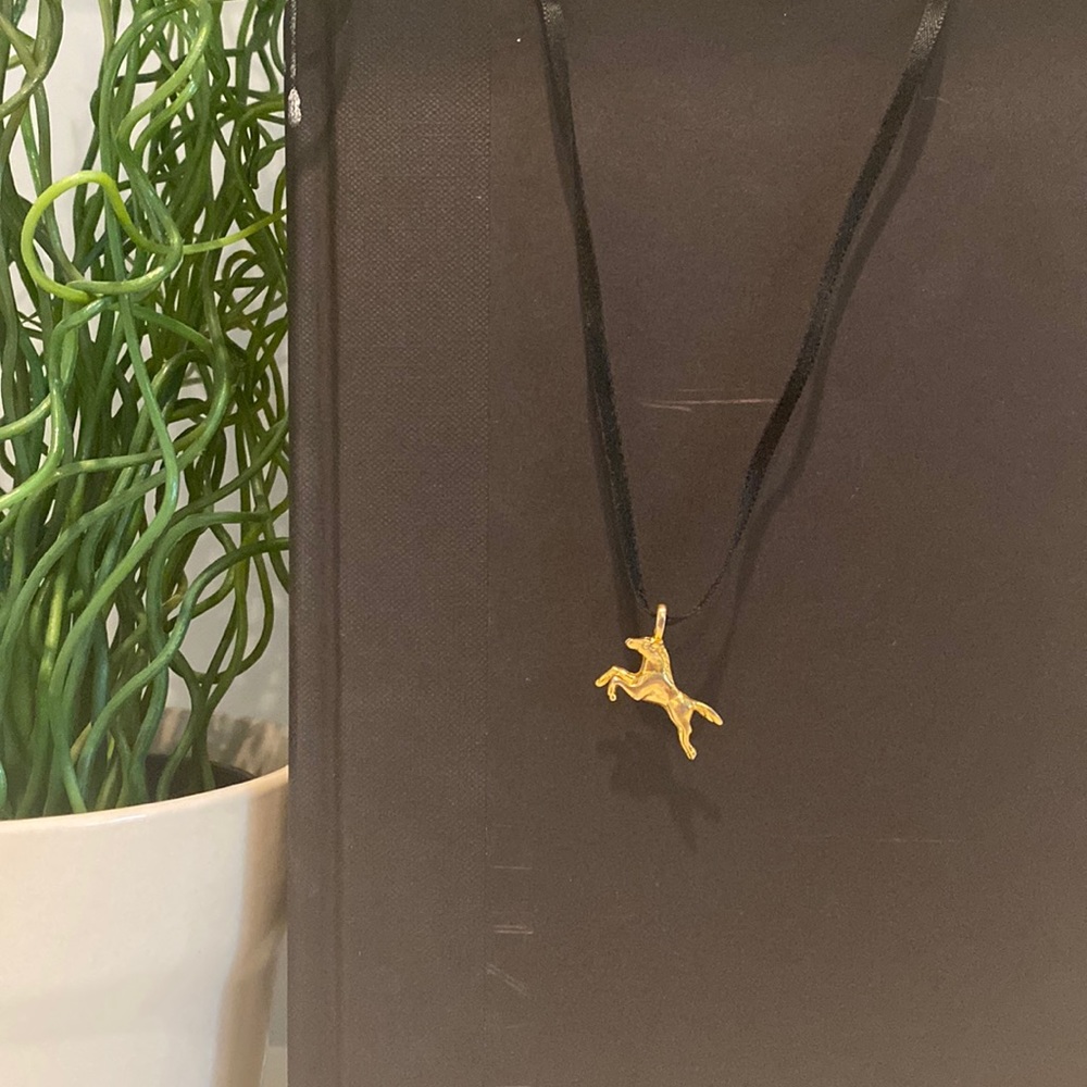 Black Beauty Book Necklace